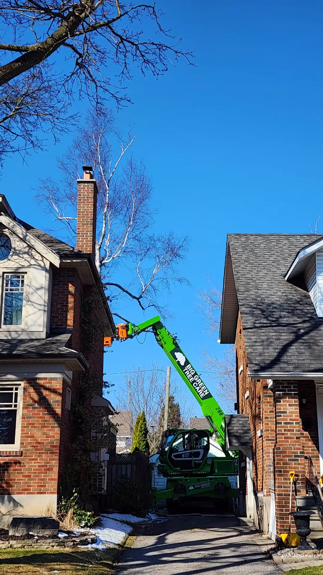 Merlo grapplesaw telehandler lifting a cut section of trunk clear of a brick house