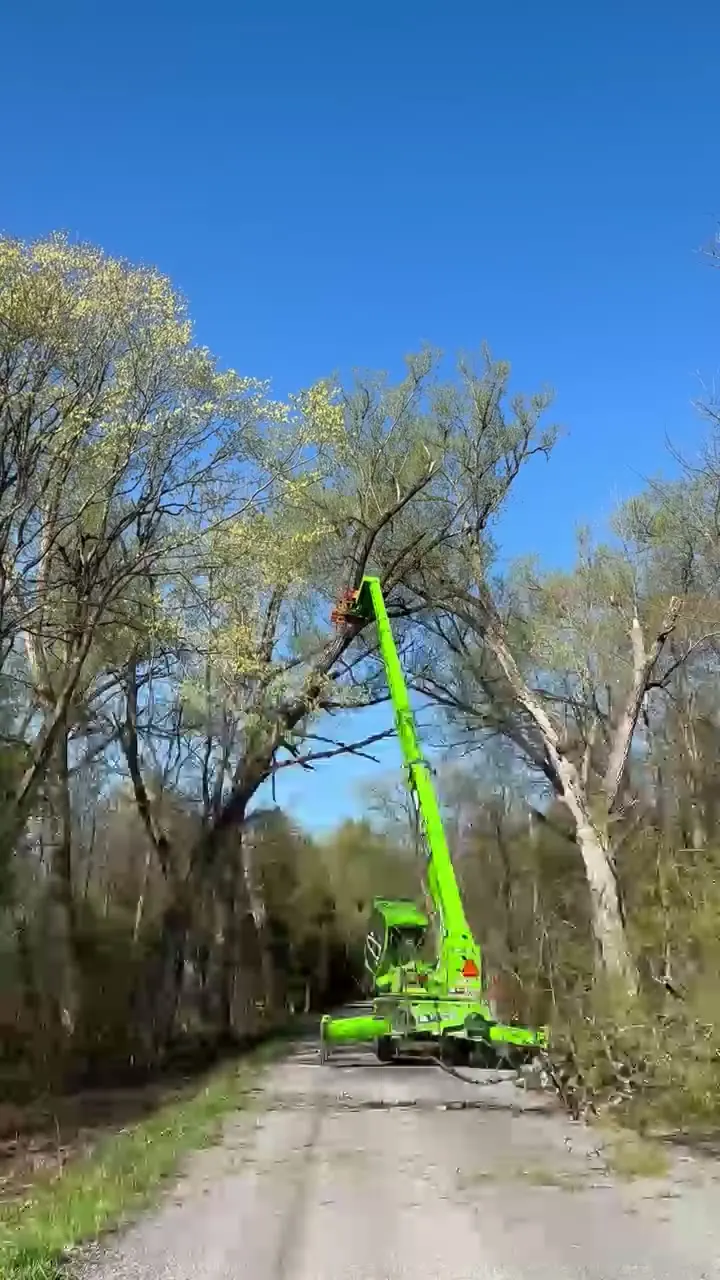 Crew cutting overhanging growth back from a roadside right of way