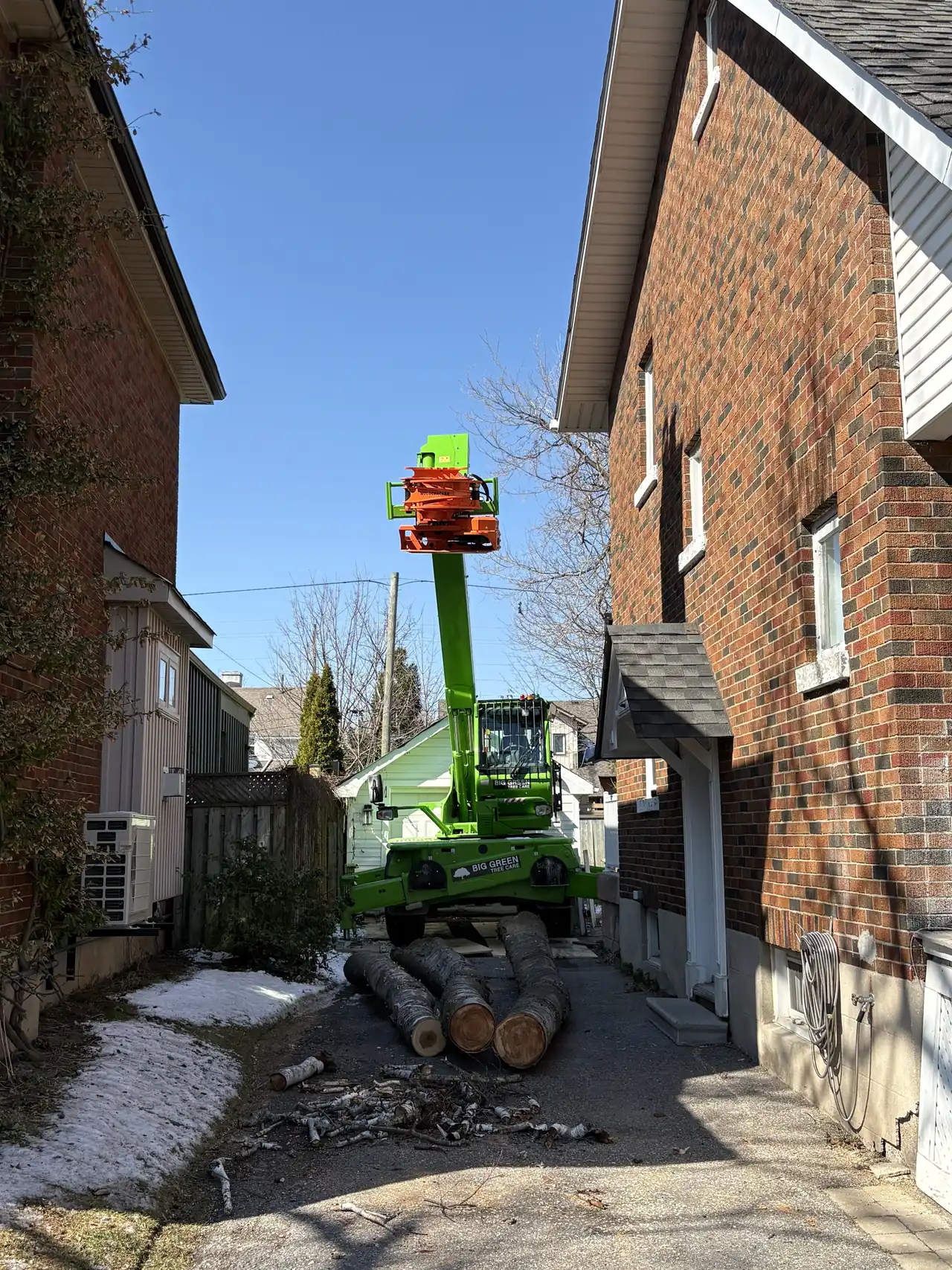 Big Green Tree Care crew removing a tall tree from a narrow alley between two houses using the Merlo grapplesaw telehandler