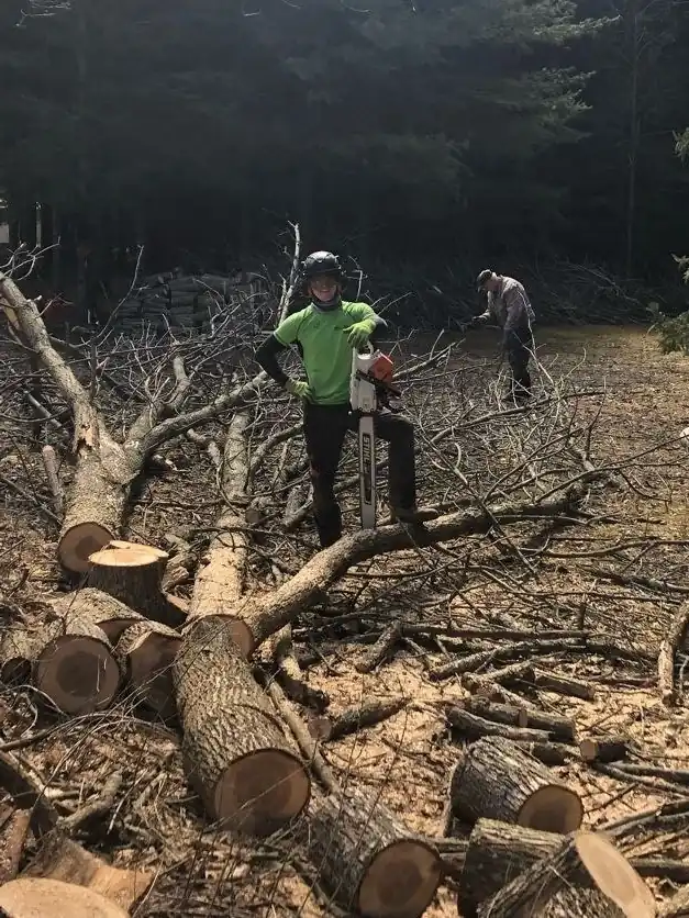 Big Green Tree Care crew beside the sectioned trunk of a large tree after a removal