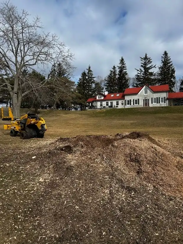 Pile of grindings left where a stump was ground out below grade, ready to be raked off or backfilled