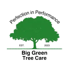 Big Green Tree Care